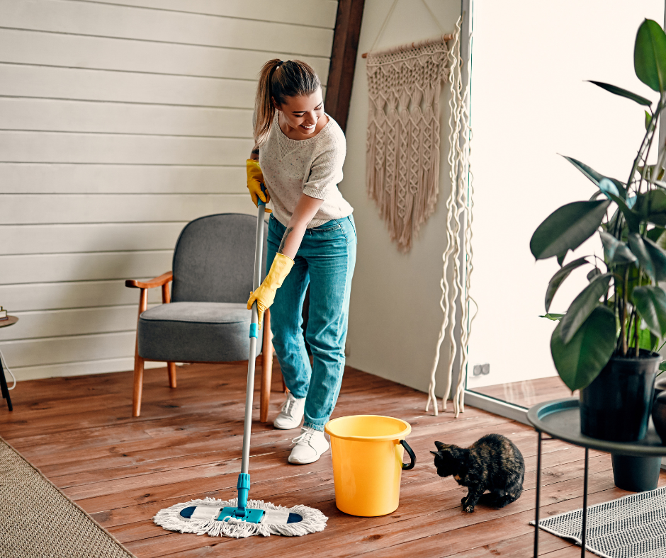 home cleaning
